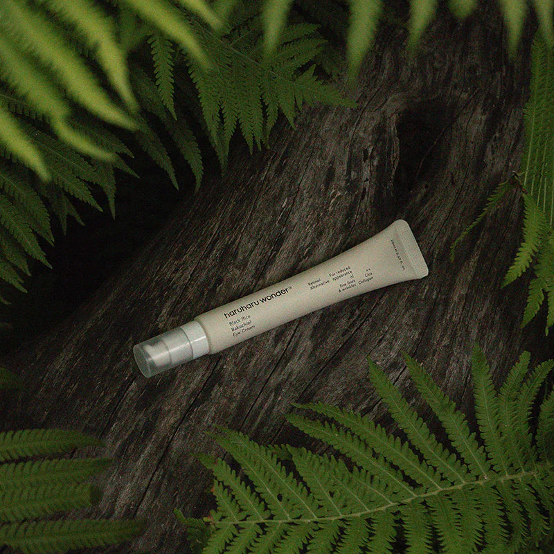 MISU-220-IMG-744-top