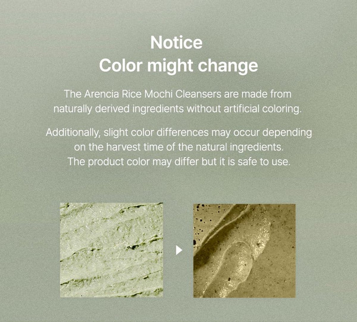 MISU-436-IMG-1632-main