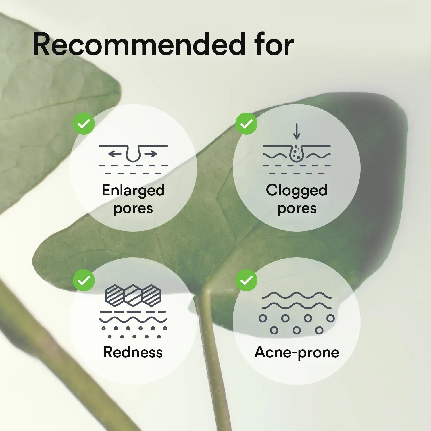 MISU-563-IMG-1944-ups