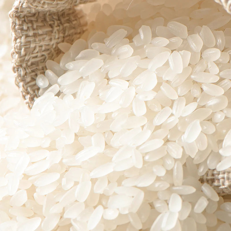 MISU-71-IMG-178-zoom